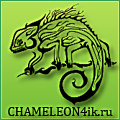 chameleon4ik